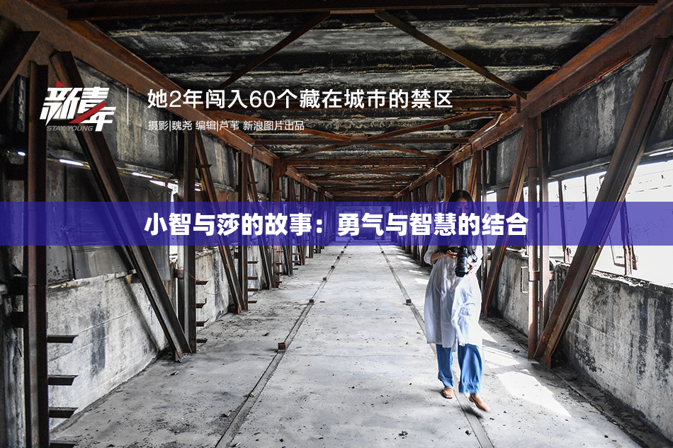 小智与莎的故事：勇气与智慧的结合