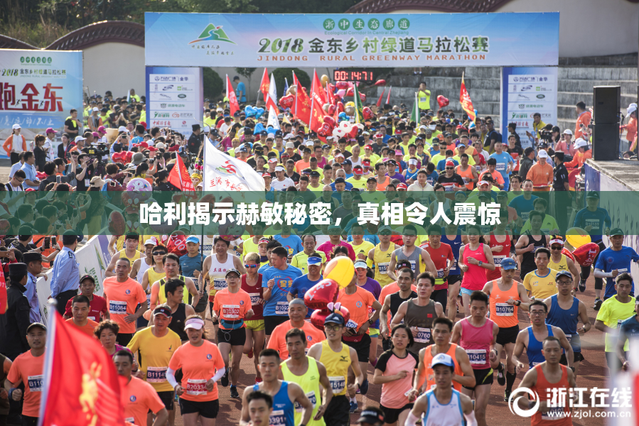 哈利揭示赫敏秘密，真相令人震惊