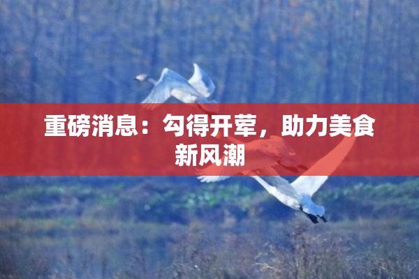 重磅消息：勾得开荤，助力美食新风潮