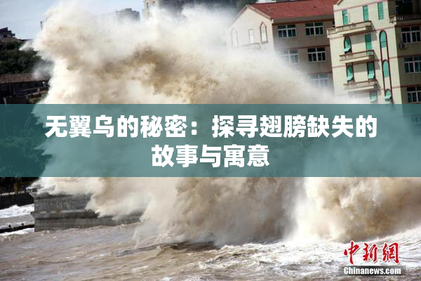 无翼乌的秘密：探寻翅膀缺失的故事与寓意