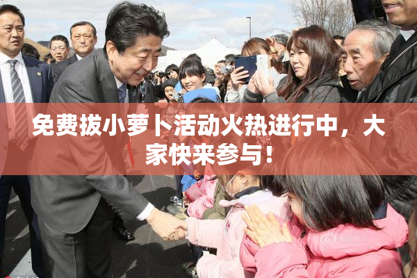 免费拔小萝卜活动火热进行中，大家快来参与！