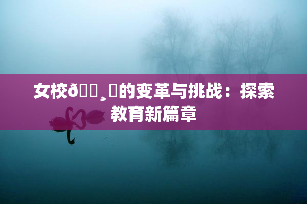 女校🌸‌的变革与挑战：探索教育新篇章