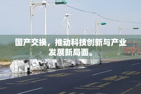 国产交换，推动科技创新与产业发展新局面。