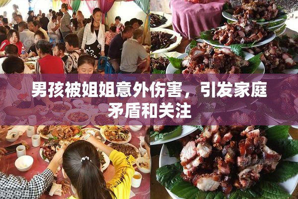 男孩被姐姐意外伤害，引发家庭矛盾和关注