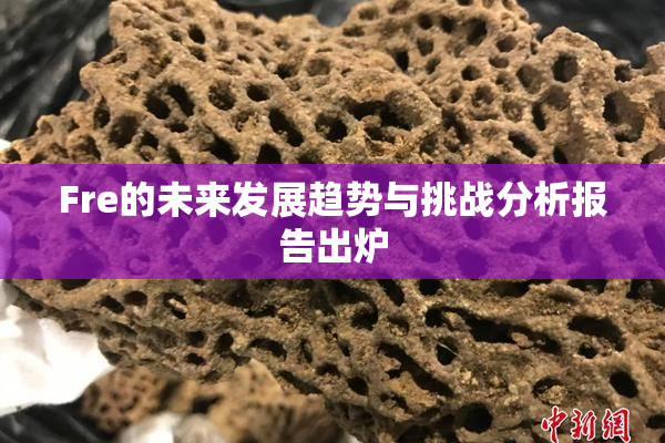 Fre的未来发展趋势与挑战分析报告出炉