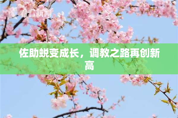 佐助蜕变成长，调教之路再创新高