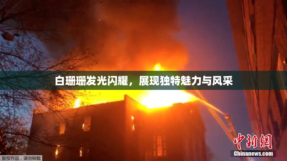 白珊珊发光闪耀，展现独特魅力与风采