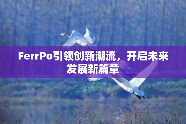 FerrPo引领创新潮流，开启未来发展新篇章