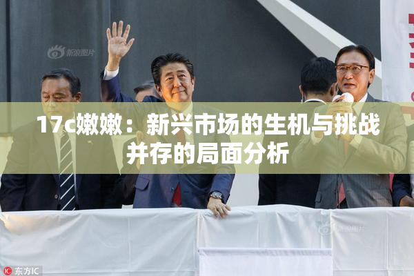 17c嫩嫩：新兴市场的生机与挑战并存的局面分析