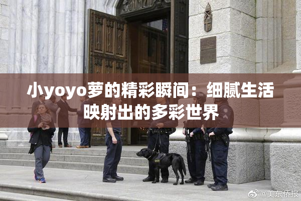 小yoyo萝的精彩瞬间：细腻生活映射出的多彩世界