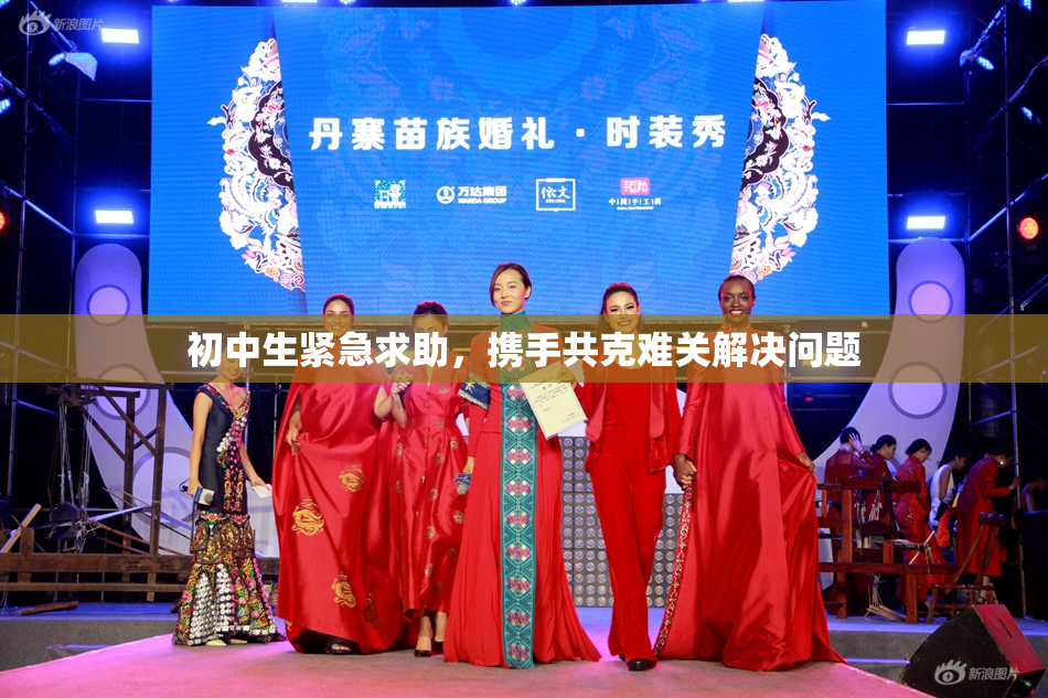 初中生紧急求助，携手共克难关解决问题
