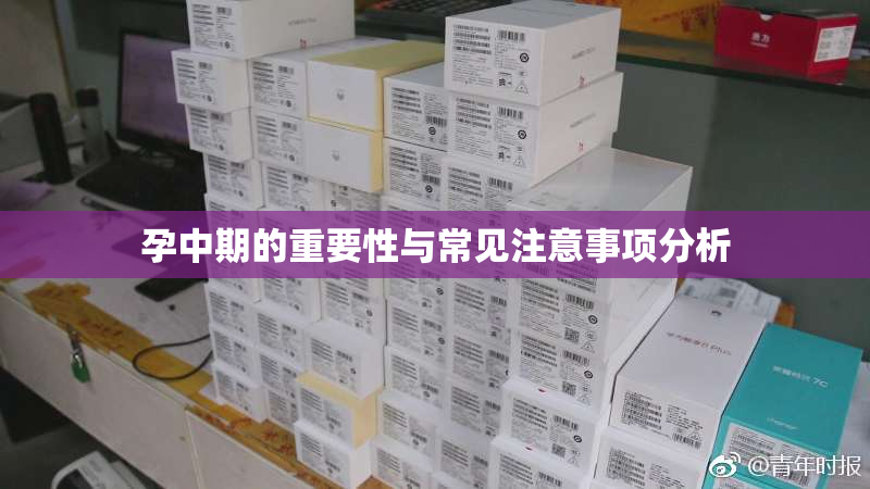 孕中期的重要性与常见注意事项分析