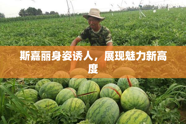 斯嘉丽身姿诱人，展现魅力新高度
