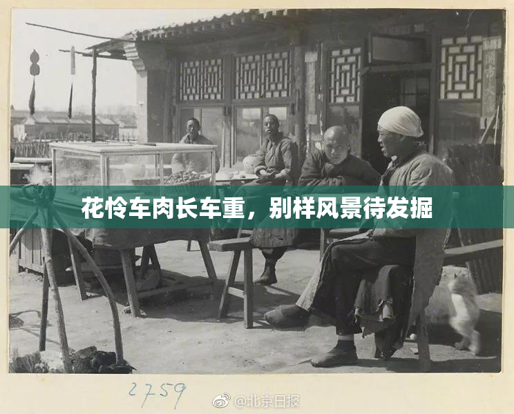 花怜车肉长车重，别样风景待发掘