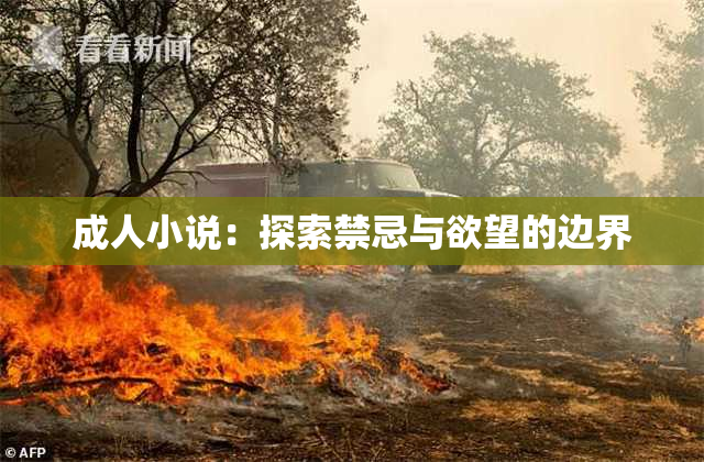 成人小说：探索禁忌与欲望的边界