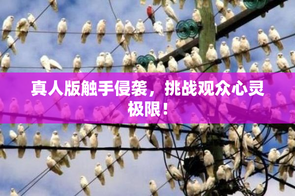 真人版触手侵袭，挑战观众心灵极限！