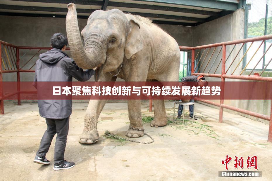 日本聚焦科技创新与可持续发展新趋势