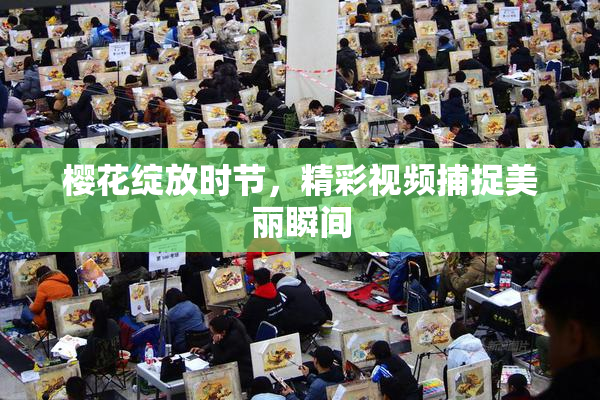 樱花绽放时节，精彩视频捕捉美丽瞬间