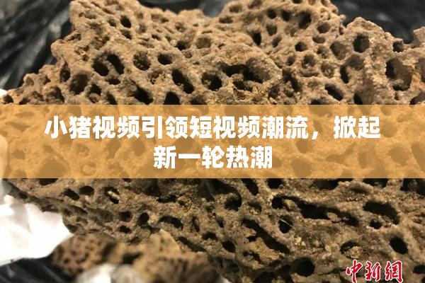 小猪视频引领短视频潮流，掀起新一轮热潮
