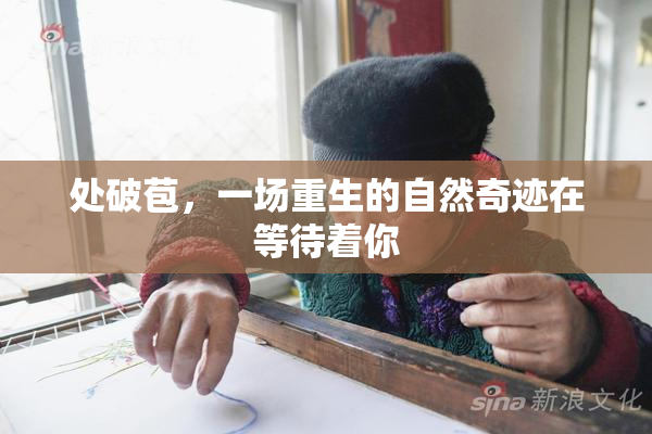 处破苞，一场重生的自然奇迹在等待着你