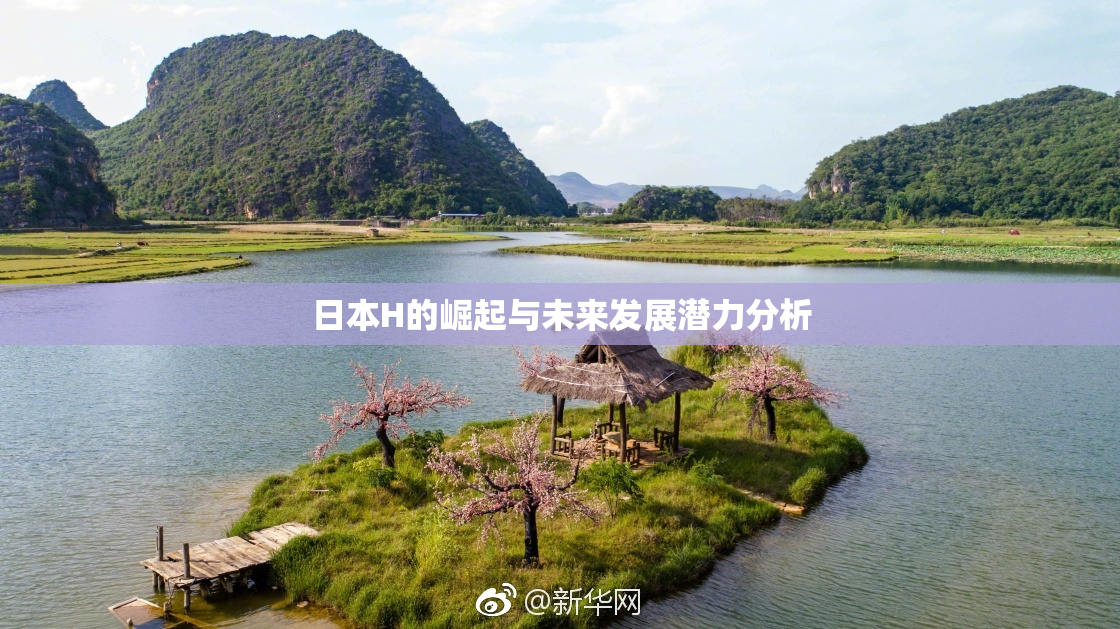 日本H的崛起与未来发展潜力分析