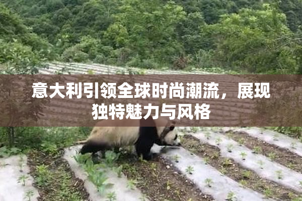 意大利引领全球时尚潮流，展现独特魅力与风格