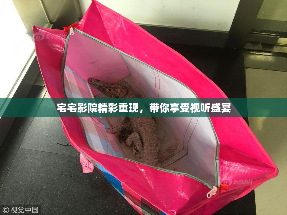 宅宅影院精彩重现，带你享受视听盛宴