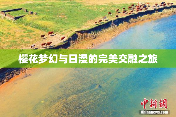 樱花梦幻与日漫的完美交融之旅