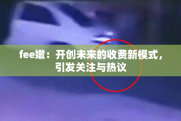 fee嫩：开创未来的收费新模式，引发关注与热议