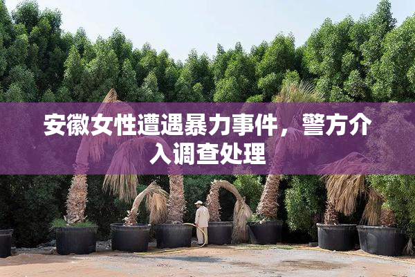 安徽女性遭遇暴力事件，警方介入调查处理