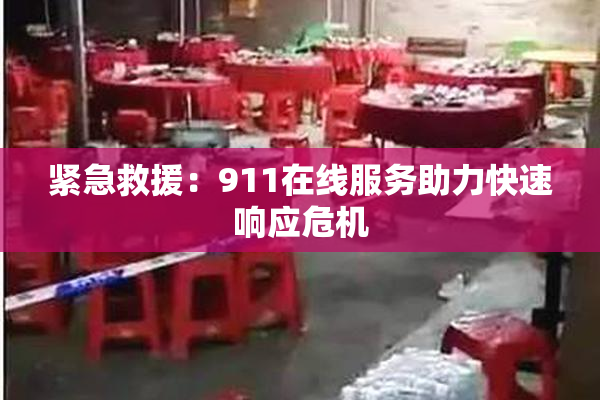 紧急救援：911在线服务助力快速响应危机