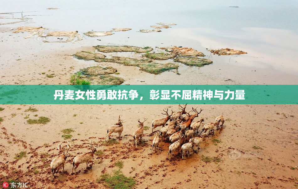 丹麦女性勇敢抗争，彰显不屈精神与力量