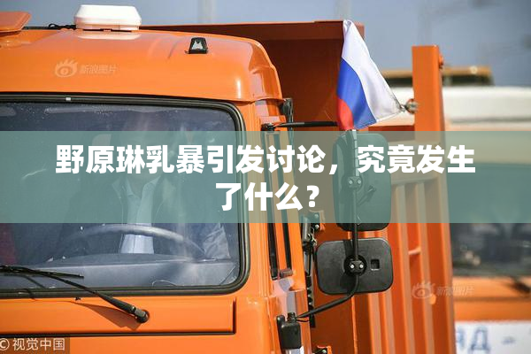 野原琳乳暴引发讨论，究竟发生了什么？