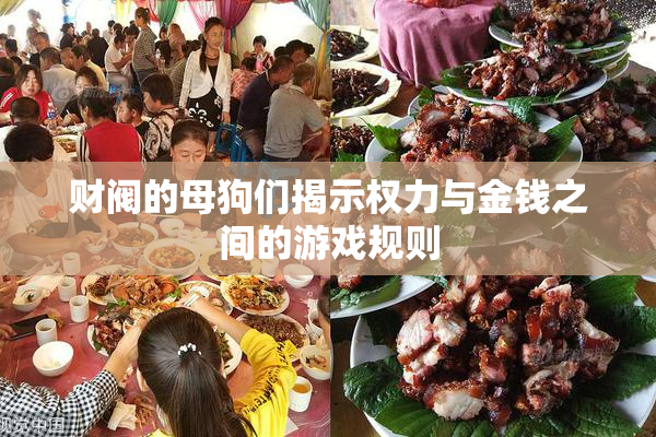财阀的母狗们揭示权力与金钱之间的游戏规则