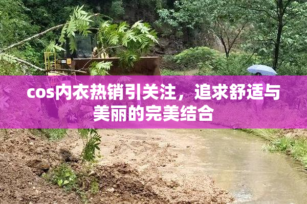 cos内衣热销引关注，追求舒适与美丽的完美结合