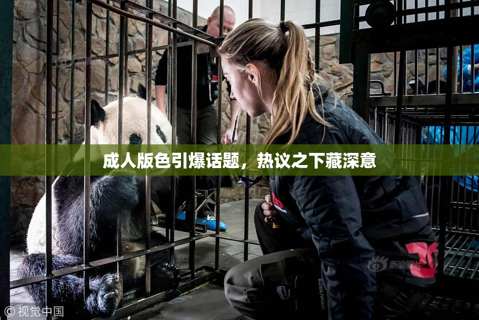 成人版色引爆话题，热议之下藏深意