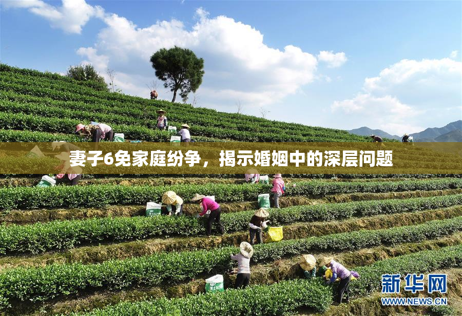 妻子6免家庭纷争，揭示婚姻中的深层问题