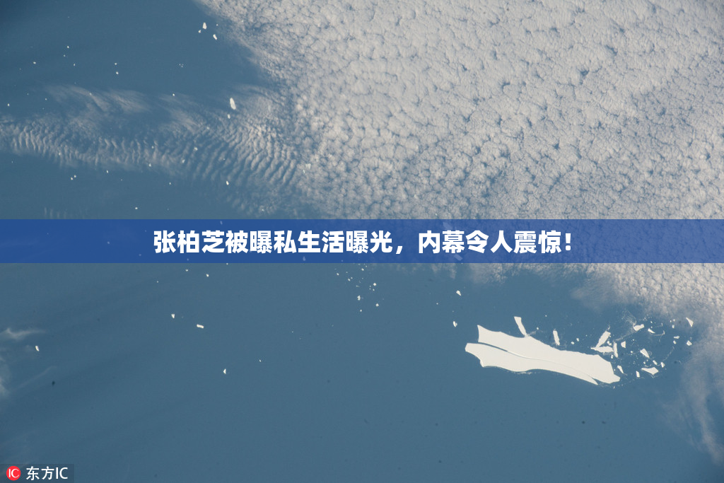 张柏芝被曝私生活曝光，内幕令人震惊！