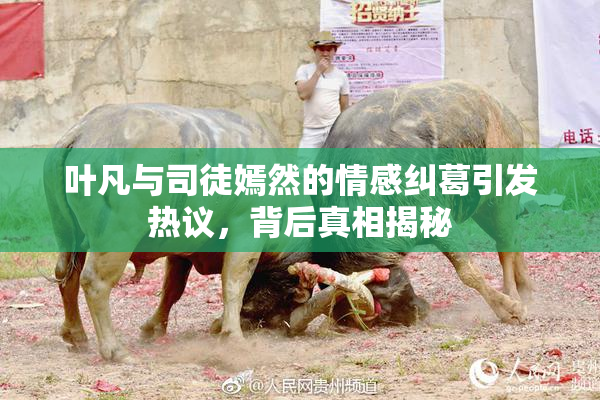 叶凡与司徒嫣然的情感纠葛引发热议，背后真相揭秘