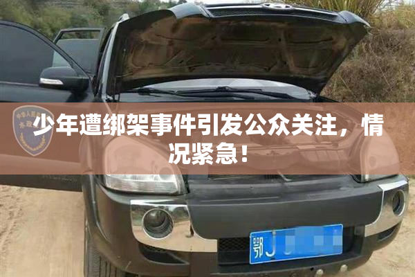 少年遭绑架事件引发公众关注，情况紧急！