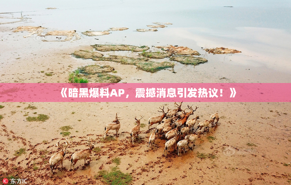 《暗黑爆料AP，震撼消息引发热议！》