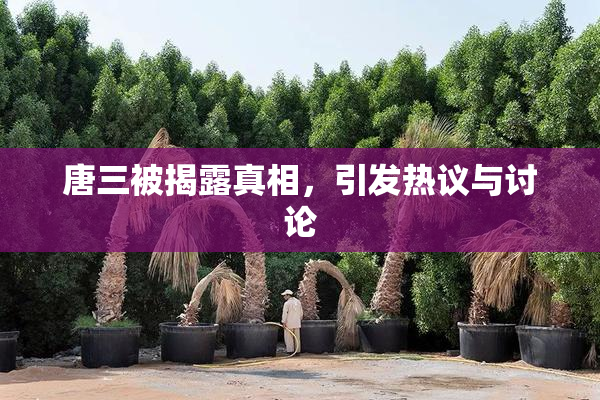 唐三被揭露真相，引发热议与讨论