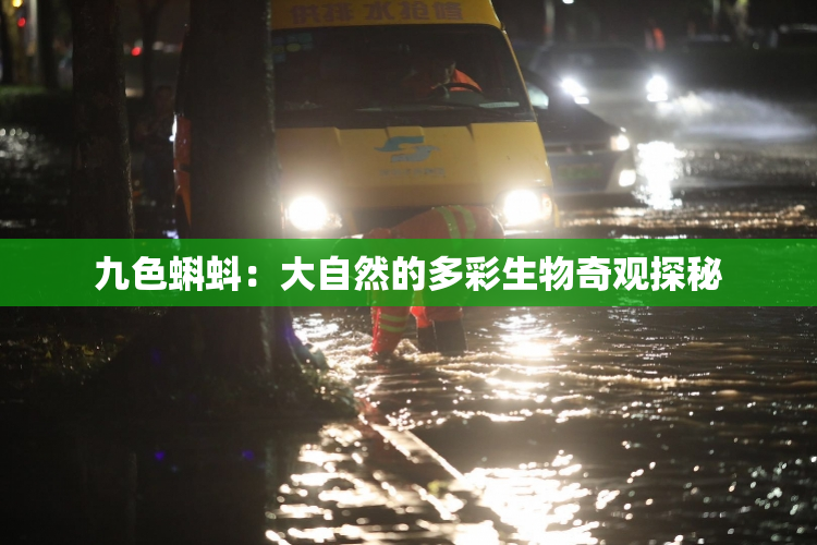 九色蝌蚪：大自然的多彩生物奇观探秘