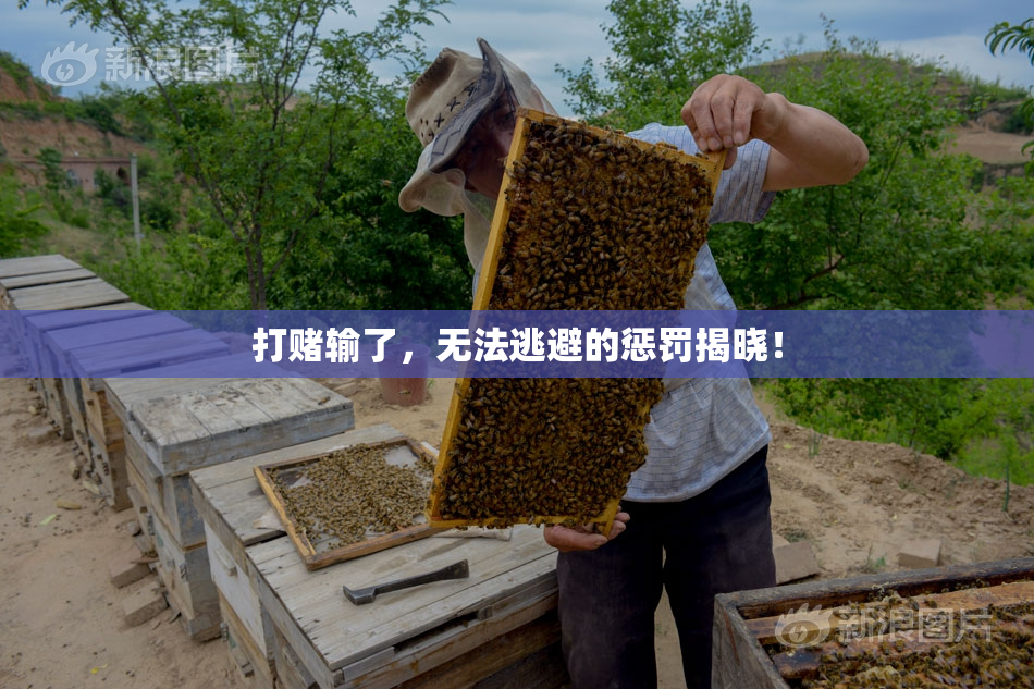 打赌输了，无法逃避的惩罚揭晓！