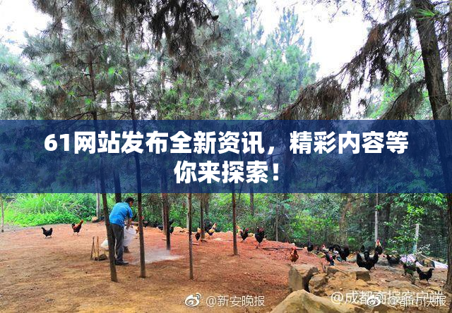 61网站发布全新资讯，精彩内容等你来探索！