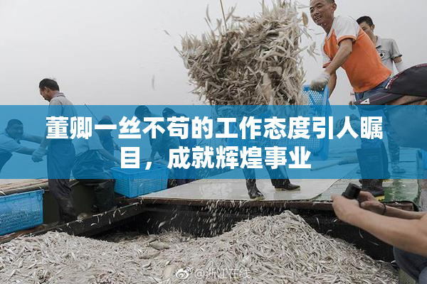 董卿一丝不苟的工作态度引人瞩目，成就辉煌事业