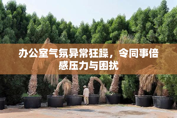 办公室气氛异常狂躁，令同事倍感压力与困扰