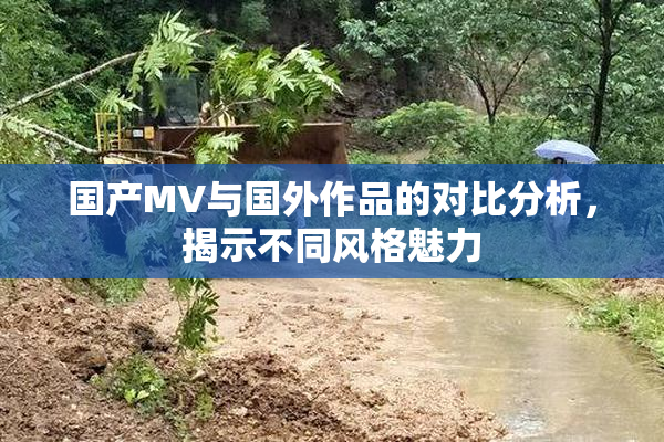 国产MV与国外作品的对比分析，揭示不同风格魅力