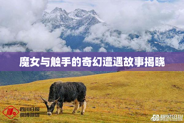 魔女与触手的奇幻遭遇故事揭晓