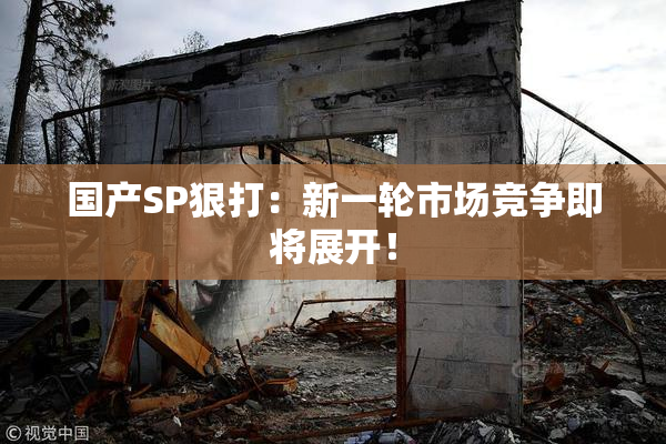 国产SP狠打：新一轮市场竞争即将展开！